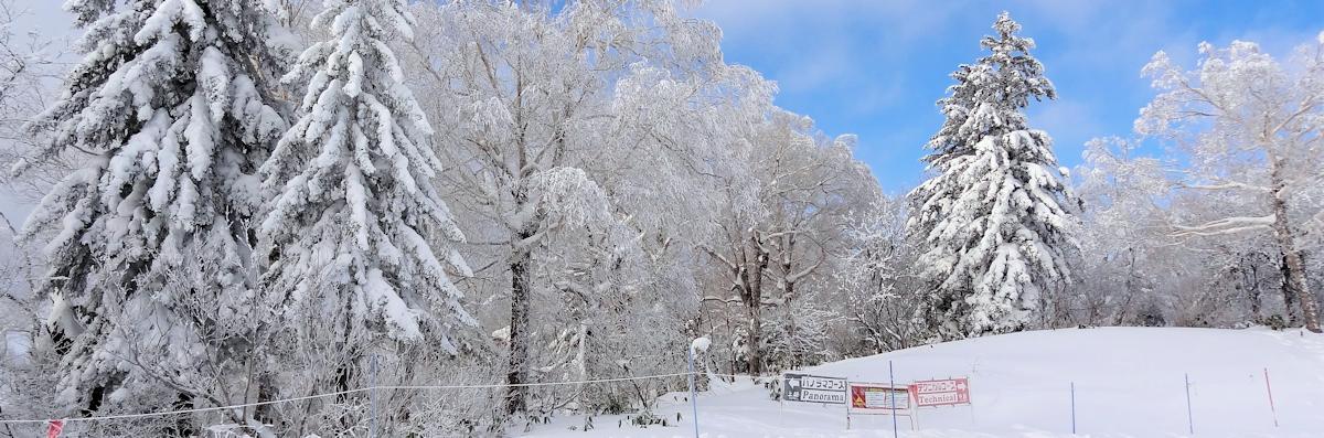 Ski Japan - Furano