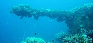 Shinkoku Maru, Chuuk Lagoon, Micronesia